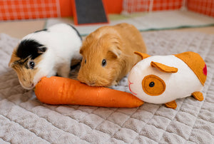 Elliot:  Guinea pig sewing pattern