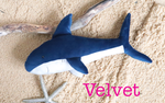 Load image into Gallery viewer, Shark Tank: Shark sewing pattern
